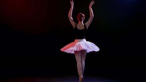 Romantic Ballerina Performing Beautiful Dance in Theatre Grace and Tenderness Pretty Female Ballet