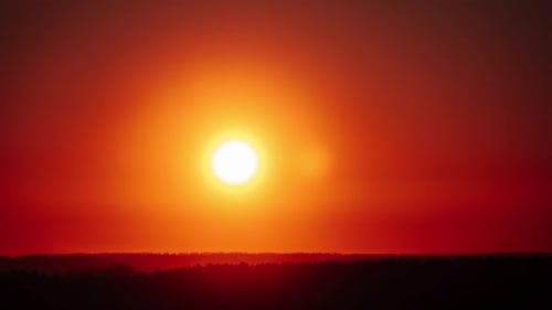 TimeLapse Sun Setting Below a Dark Forest Golden Sky