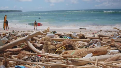 Pollution Crisis on the Shores As Plastic Waste Overwhelms Our Oceans