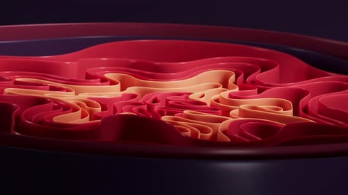 Dynamic Abstract Wavy Ribbons Background Animation