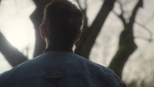 Hombre mirando un árbol