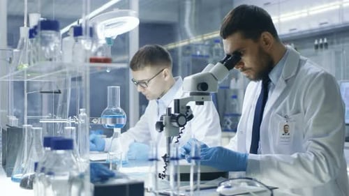 Scientists Working In Brightly Lit Laboratory
