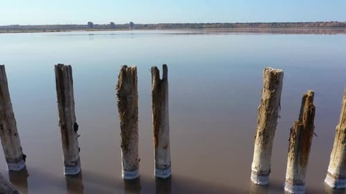 Sea Firth Water with Salt and Wooden Posts