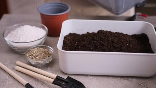 Home Gardening and Plant Transplantation Woman Pour Soil Box with Garden Scoop for Substrate