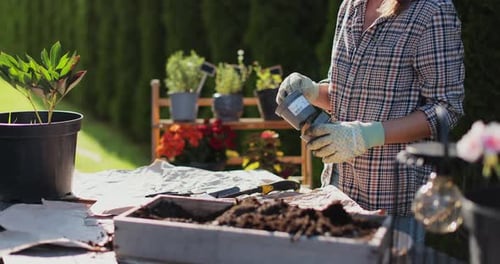 Woman Gardening Outdoors on Sunny Day Planting Flowers