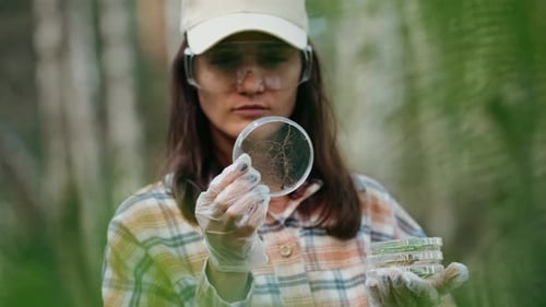 In a Wooded Area an Ecologist Takes Plant Samples and Places Them in a Container for Research in the