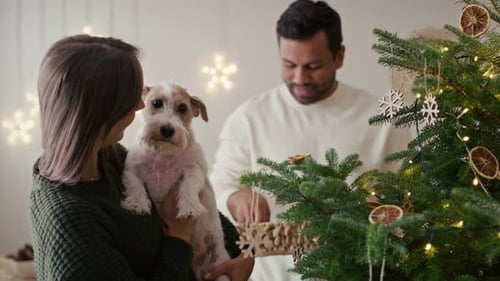 Couple with Dog Decorating Christmas Tree at Home