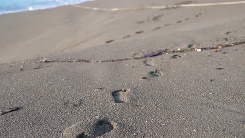 Footprints on the tropical beach in the sand leading to the ocean shore in Mexico