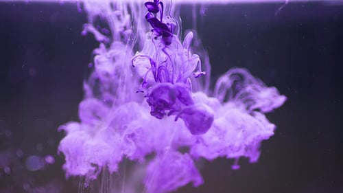 Color Water Drop Magic Pink Velvet Purple Coral Light