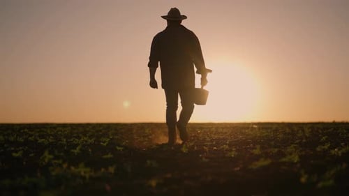 Summer Season in Countryside Man Farm Worker Working in Field Silhouette Agronomist with Shovel in
