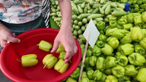 a woman selecting vegetables at the market or grocery store