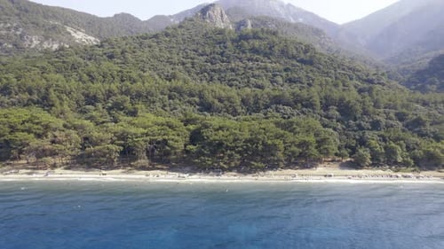 Drone Flies Over a Beach and Sea Bird Eye View