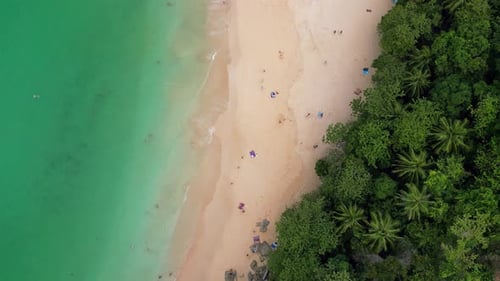 Tropical beach with turquoise waters, golden sand, and lush green forest meeting the coast.