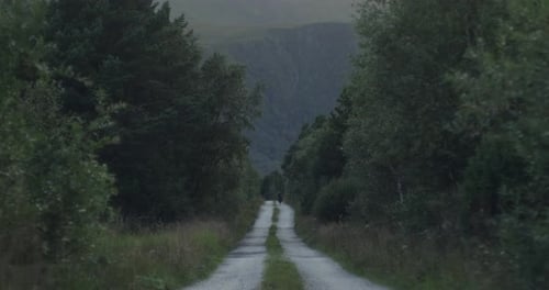 Cyclist on a touring bike approaching from afar on a desolate gravel road in the forrest in Norway,