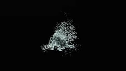 Dynamic Fluid Water Splash Transition