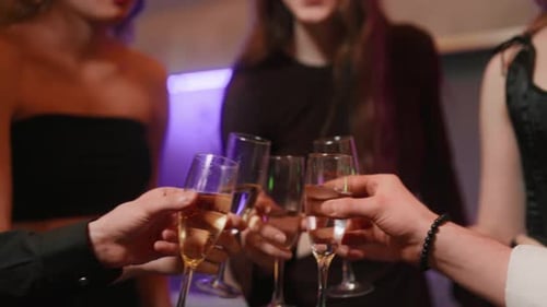 Young People Clinking Glasses on Party Close Up Hands of Young Women Toasting and Drinking Alcohol
