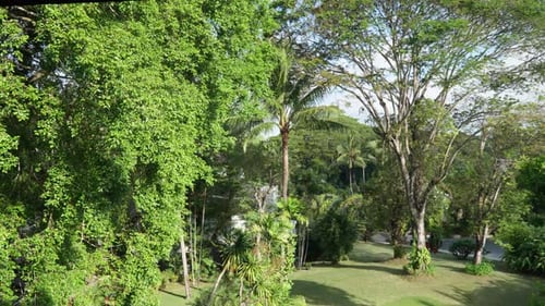 Dicht tropische Natur im Gartenpark des InterContinental Bali Resorts auf Bali, Indonesien. Aeria