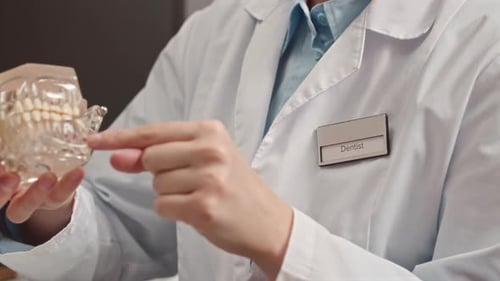 Dentist Explains Tooth Model to Patient