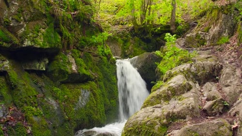 Green and wet mossy stones and rocks along mountain river stream with many curved cascades and small