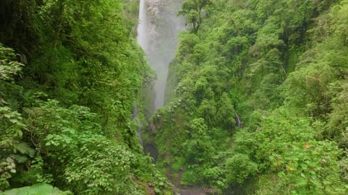 Experience the Stunning Waterfall in Costa Ricas Lush Jungles with a Captivating View