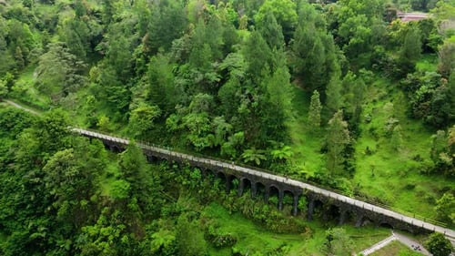 Luftaufnahmen von der Spitze des Naturwaldparks mit langer Brücke