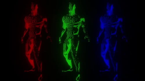 Synthetic Body Modulation Wireframe