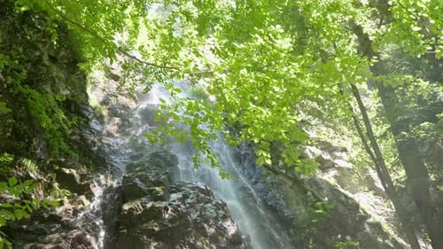 Beautiful Waterfall in a Mysterious Summer Forest The Magical Foggy