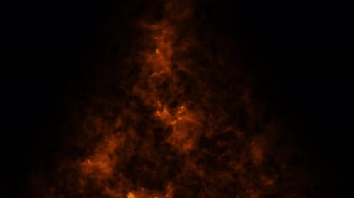 Fire burns, fire flames on black background