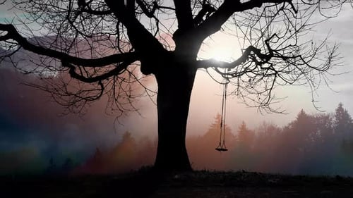 Panoramic View of Tree Nature Environment in Fall Autumn Season