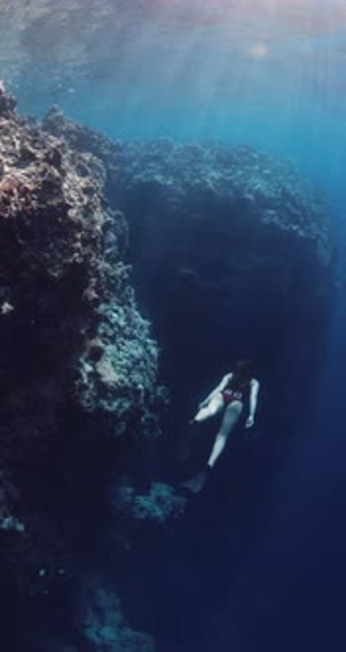 Freediver Swims in Blue Ocean Woman Freediving in Near Vertical Rocks