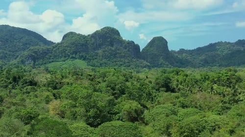Philippinischer Dschungel von oben