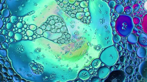 Abstract Colorful And Shiny Oil Bubbles Circles Background 24