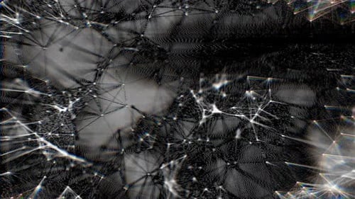 Black White Abstract Network Glitch Loop