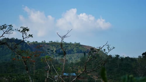 natural views of hills and mountains