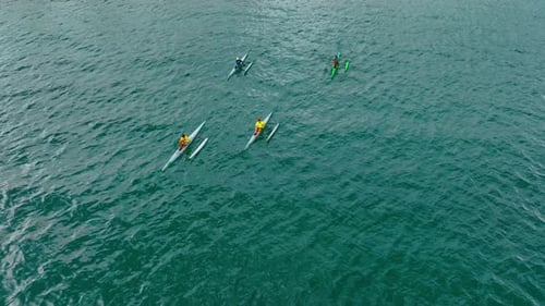 Four kayakers rowing by the blue waterscape. Practicing canoeing in a group. Top view.