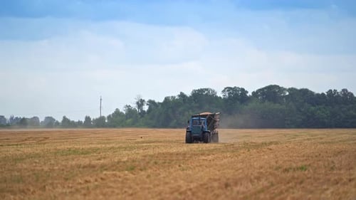 Full tractor loaded with grain moves along the field. Picked crops inside the lorry.