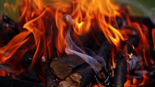 Smoldered firewoods burned in fire. Burning branches and brushwood in fire, close up