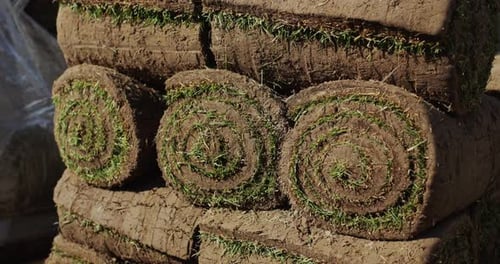 Rolled Lawn Pallets Readytoplant Material for a Beautiful Green Lawn