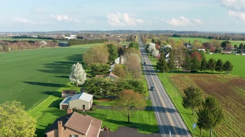 Aerial tracking shot above road in USA. American trees blooming in spring. Homes and houses line roa