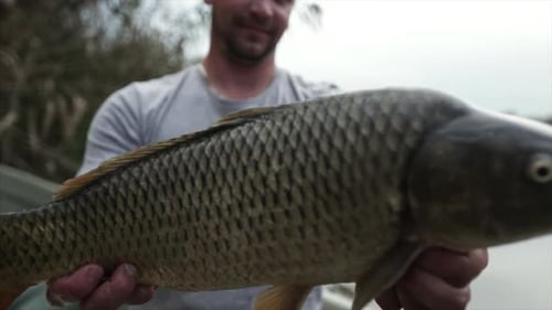 Fisherman Holds Fish on Boat