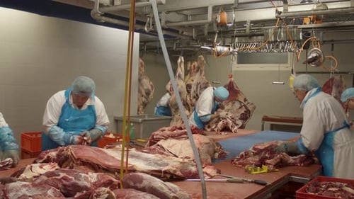 Pan of a Group of butchers cutting pieces of meat from carcasses in meat processing plant