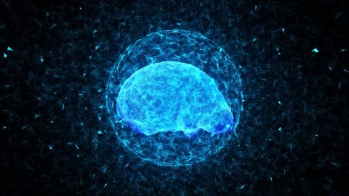 Futuristic Digital Brain with Glowing Plexus Network Animation