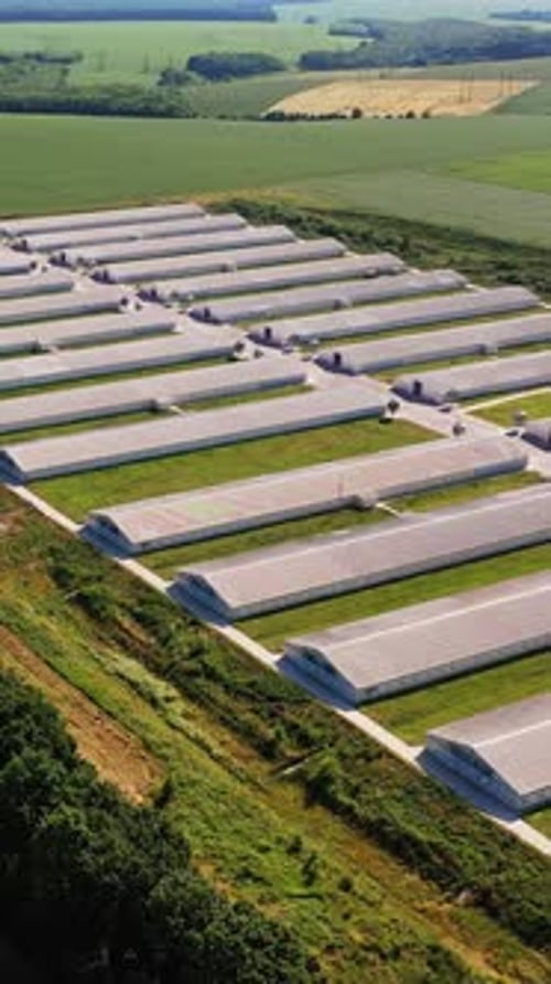 Graneros largos y blancos en el complejo agrícola actual.