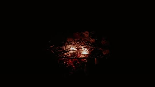 Wood campfire embers burning in low light, down shot