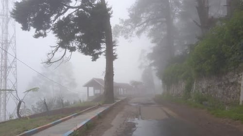 Foggy tropical countryside road at the mountain top with green and natural forest and trees. Camera