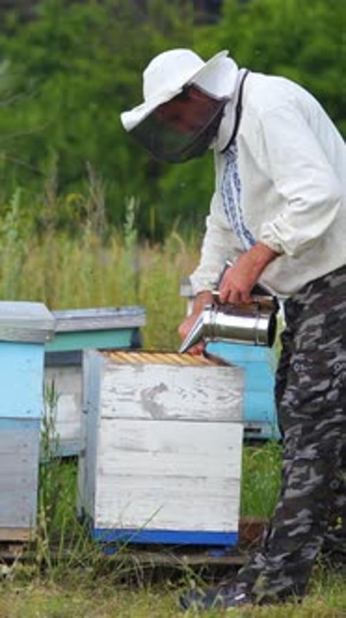 Beekeeper Inspecting Beehives in Rural Setting