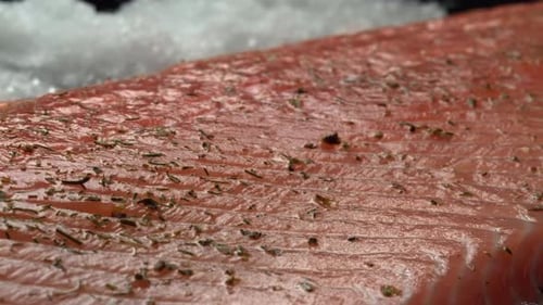 Close Up of Raw Salmon Fillet with Herbs