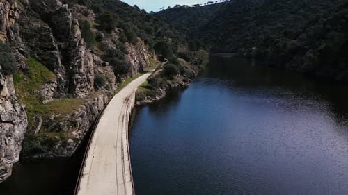 Luftbild eines Waldes und Sees mit einer Brücke