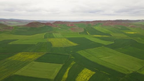 Farmlands And Red Mountains