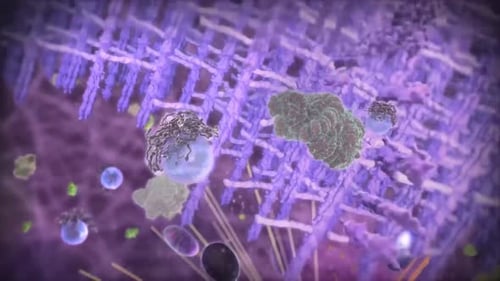 Vibrant microscopic view of purple cells and green structures